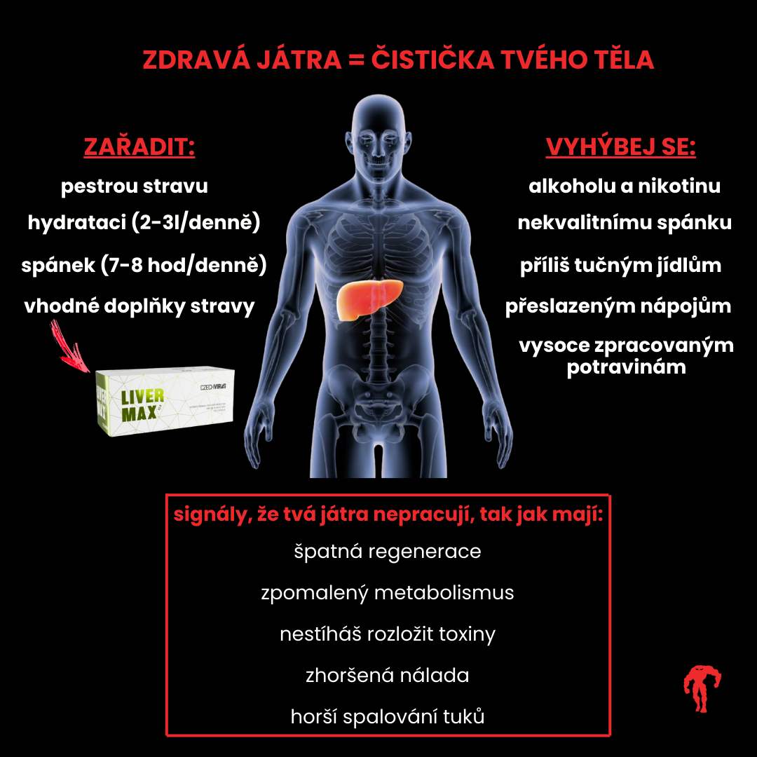 Infografika detoxikace alkohol - Czech Virus